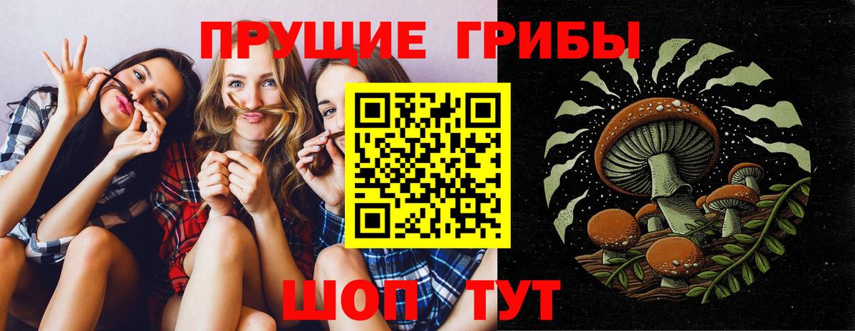 Галлюциногенные грибы мухоморы Новошахтинск